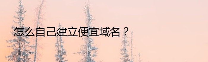 怎么自己建立便宜域名？