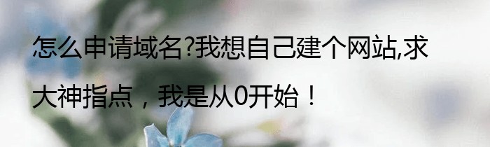 怎么申请域名?我想自己建个网站,求大神指点，我是从0开始！