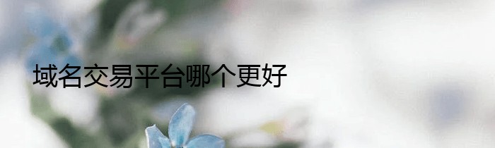 域名交易平台哪个更好