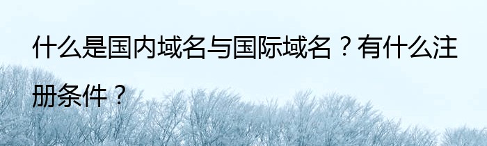 什么是国内域名与国际域名？有什么注册条件？