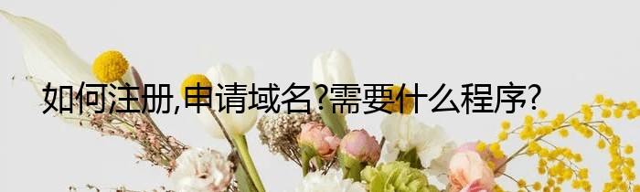 如何注册,申请域名?需要什么程序?