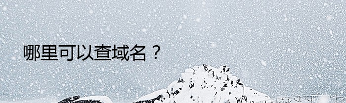 哪里可以查域名？