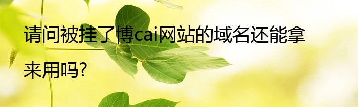 请问被挂了博cai网站的域名还能拿来用吗?