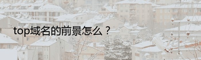 top域名的前景怎么？