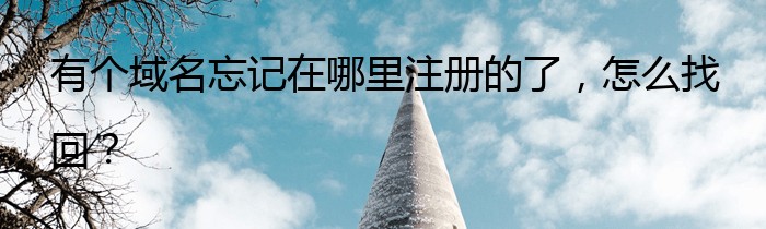 有个域名忘记在哪里注册的了，怎么找回？