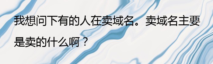 我想问下有的人在卖域名。卖域名主要是卖的什么啊？