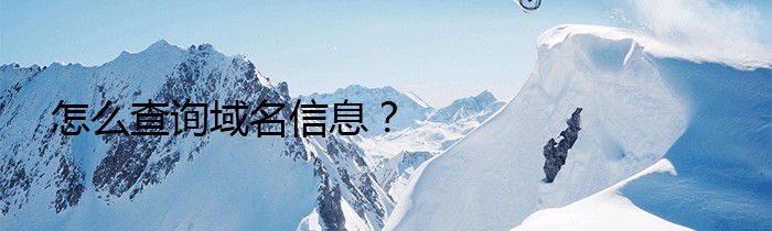 怎么查询域名信息？