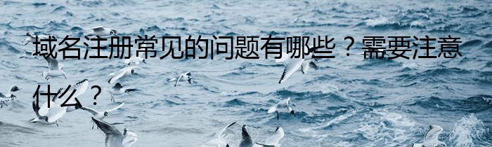 域名注册常见的问题有哪些？需要注意什么？