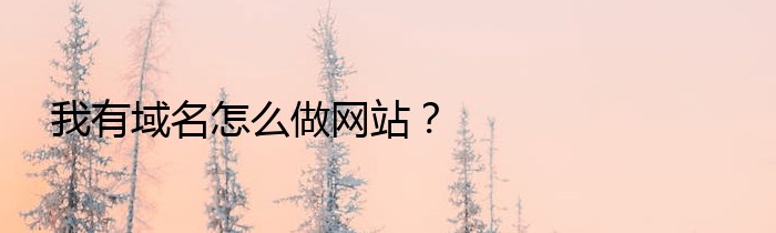 我有域名怎么做网站？