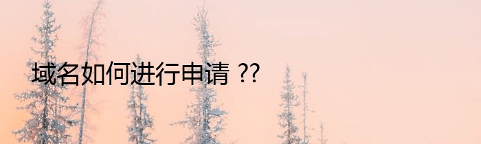 域名如何进行申请 ??