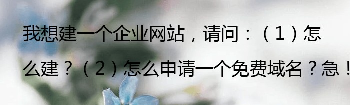 我想建一个企业网站，请问：（1）怎么建？（2）怎么申请一个免费域名？急！！！