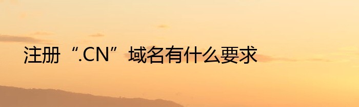 注册“.CN”域名有什么要求