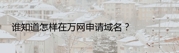 谁知道怎样在万网申请域名？