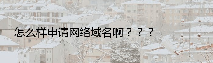 怎么样申请网络域名啊？？？