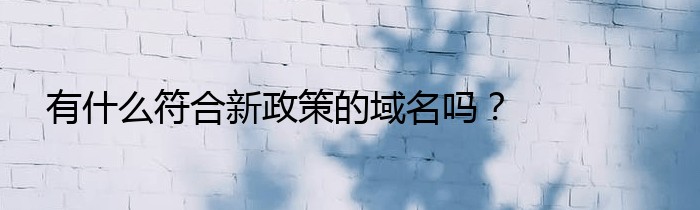 有什么符合新政策的域名吗？