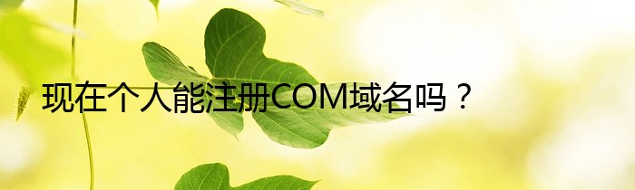 现在个人能注册COM域名吗？