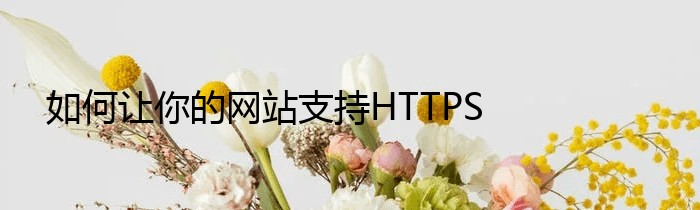 如何让你的网站支持HTTPS