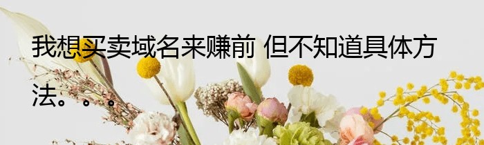 我想买卖域名来赚前 但不知道具体方法。。。