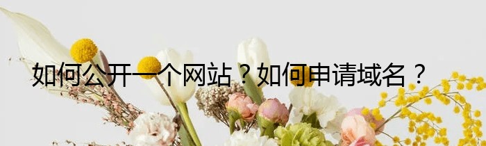 如何公开一个网站？如何申请域名？