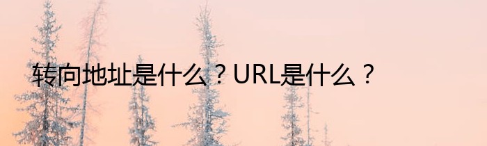 转向地址是什么？URL是什么？