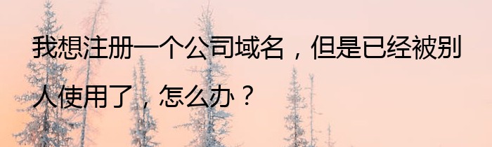 我想注册一个公司域名，但是已经被别人使用了，怎么办？