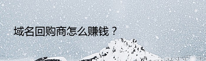 域名回购商怎么赚钱？