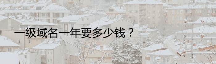 一级域名一年要多少钱？