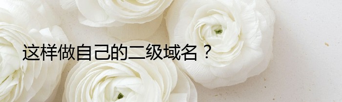 这样做自己的二级域名？