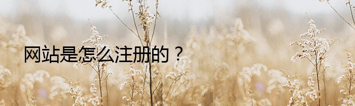 网站是怎么注册的？