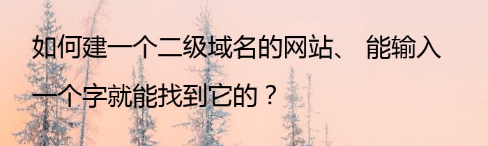 如何建一个二级域名的网站、 能输入一个字就能找到它的？