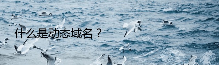 什么是动态域名？