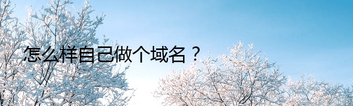 怎么样自己做个域名？