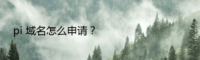 pi 域名怎么申请？