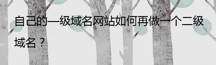 自己的—级域名网站如何再做一个二级域名？