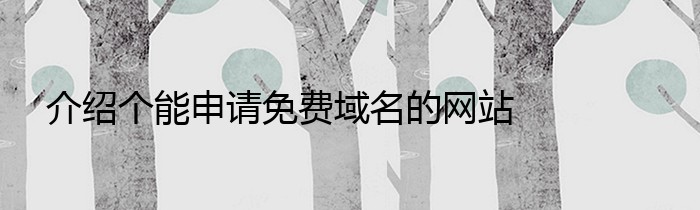 介绍个能申请免费域名的网站