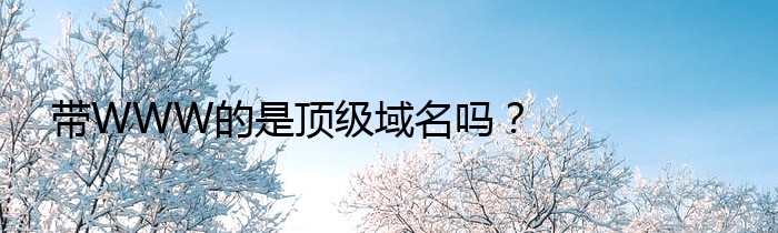 带WWW的是顶级域名吗？