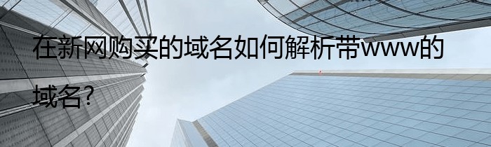 在新网购买的域名如何解析带www的域名?