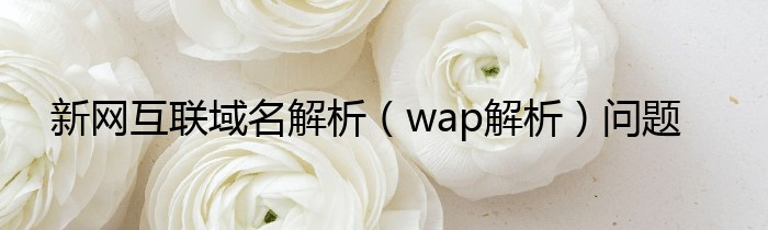 新网互联域名解析（wap解析）问题