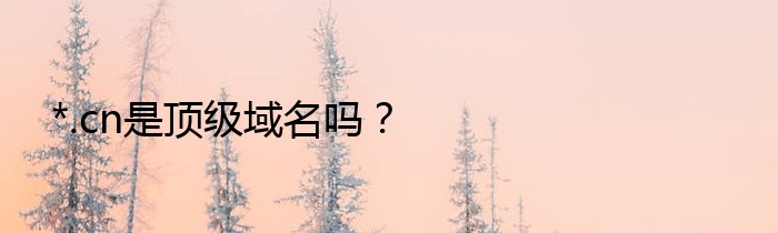 *.cn是顶级域名吗？