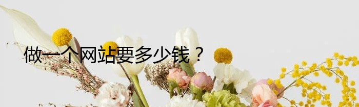 做一个网站要多少钱？