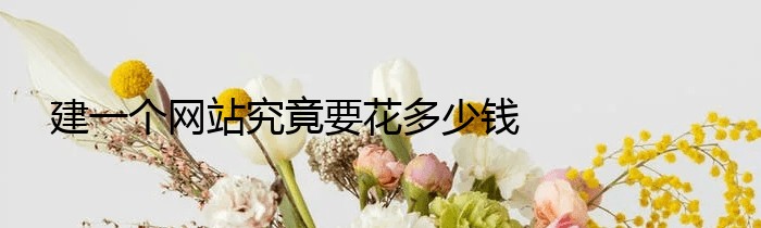 建一个网站究竟要花多少钱