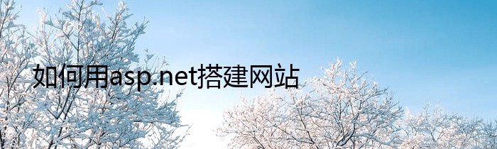 如何用asp.net搭建网站