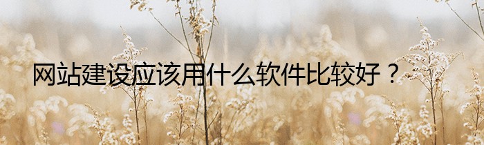 网站建设应该用什么软件比较好？