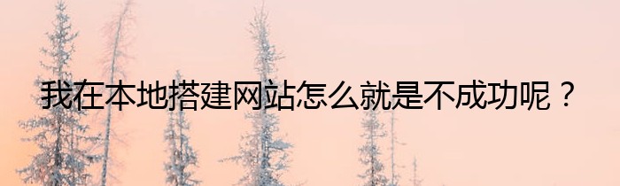 我在本地搭建网站怎么就是不成功呢？