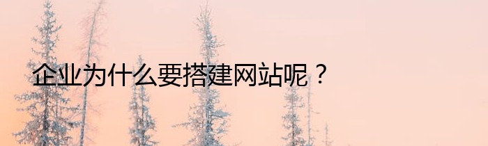 企业为什么要搭建网站呢？