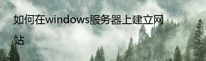 如何在windows服务器上建立网站