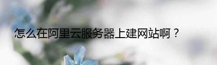 怎么在阿里云服务器上建网站啊？