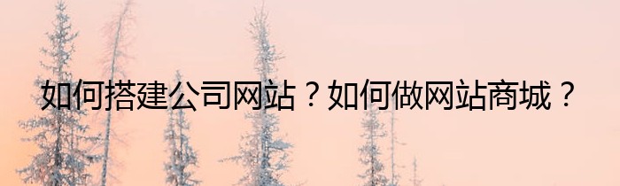 如何搭建公司网站？如何做网站商城？