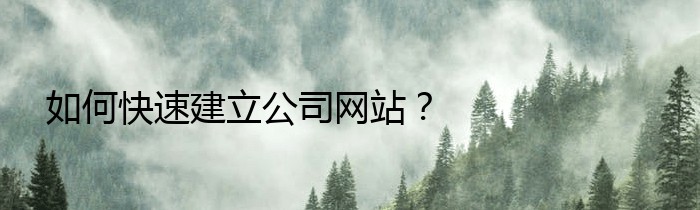 如何快速建立公司网站？