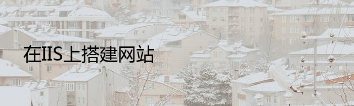 在IIS上搭建网站